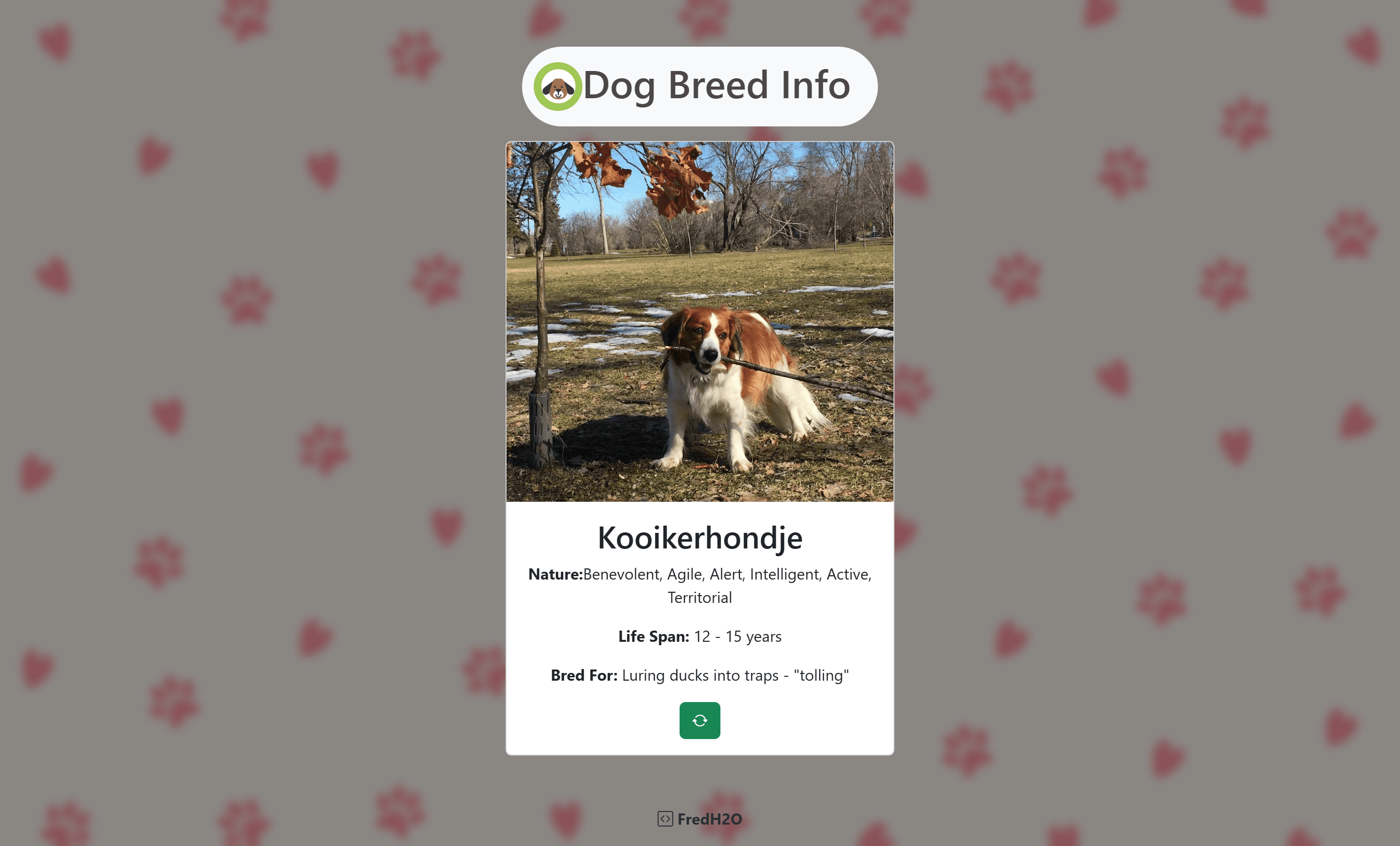 Dog Breed Info