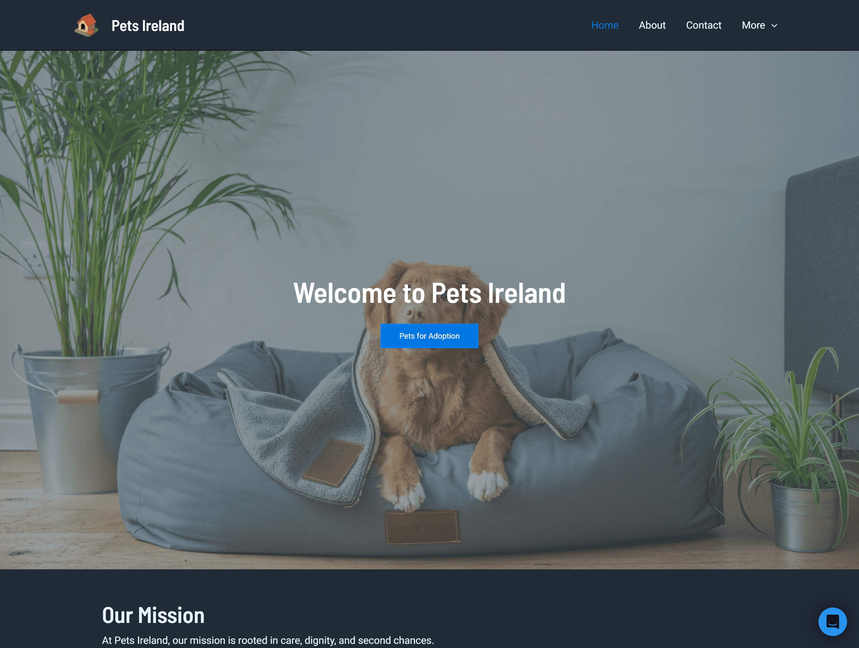 Pets Ireland Website